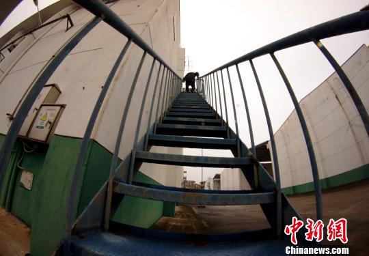 中央儲備糧江西泰和直屬庫有限公司保管員在倉庫巡查?！⊥蹶魂?攝
